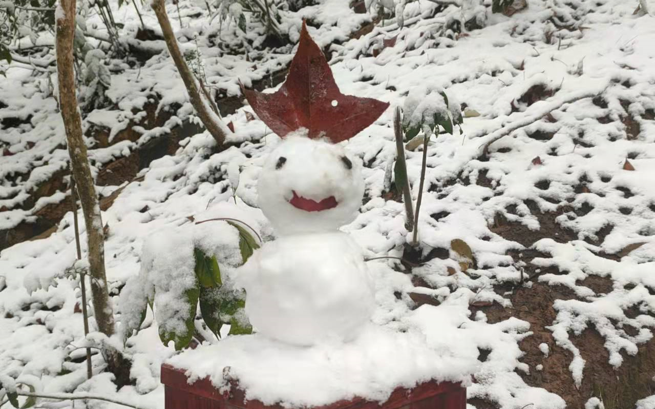 [图]【长沙初雪】人生的回转木马，愿你欢愉！