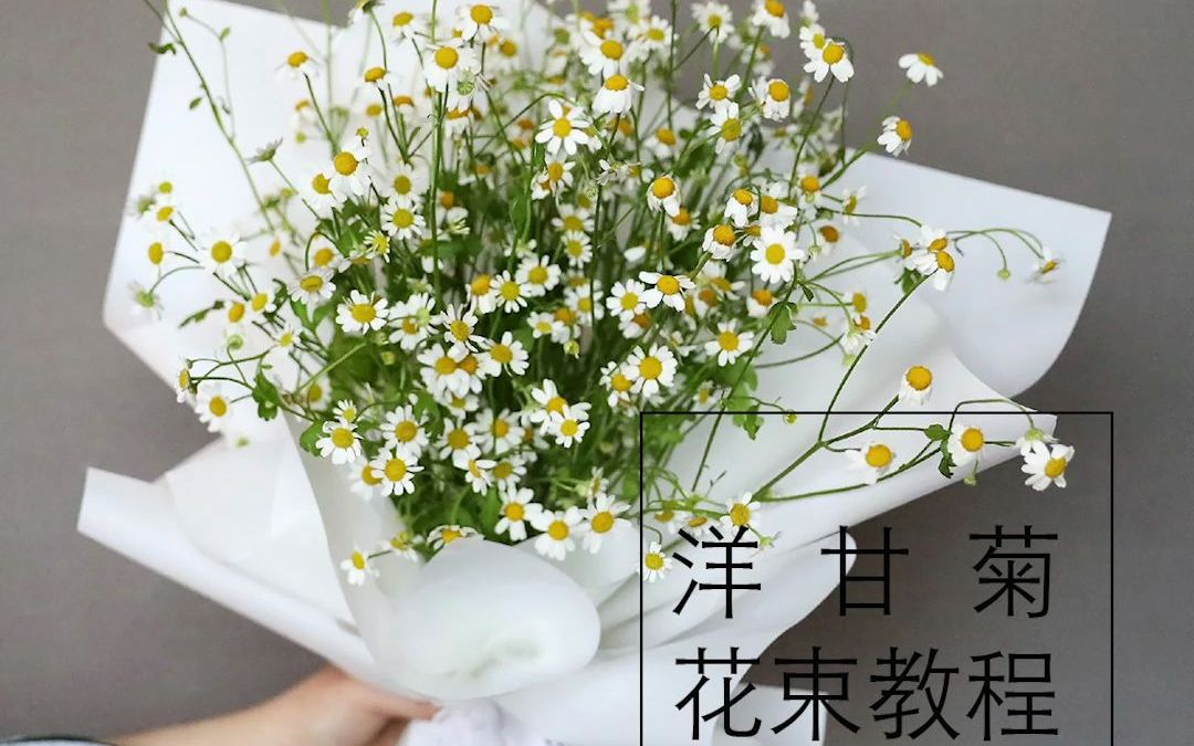 马克花艺教学视频:【花艺学习】简单几步就能包出漂亮的清新小花束洋甘菊花束哔哩哔哩bilibili