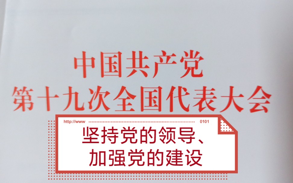 青回重温十九大,报告全文朗读!完结篇!打铁必须自身硬,青年强则国家强!(第十三部分)哔哩哔哩bilibili