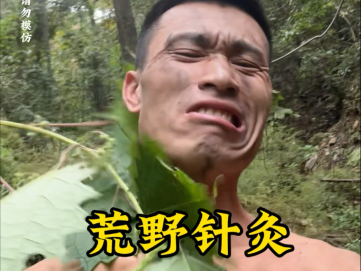 中国贝爷进山就是胡球吃