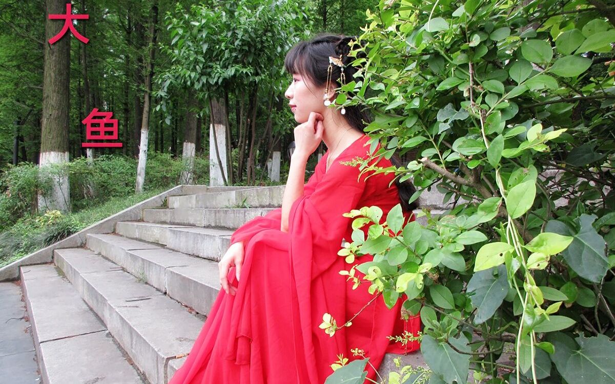 大鱼舞蹈教学视频