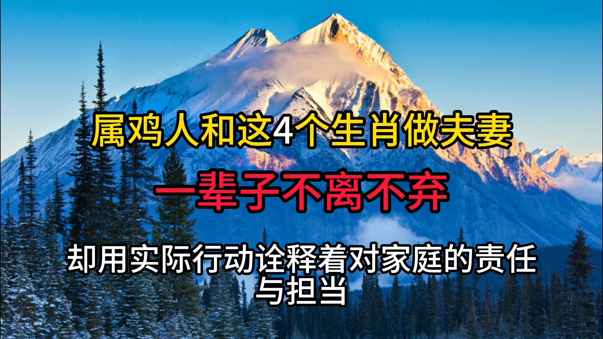 属鸡人和这4个生肖做夫妻,一辈子不离不弃,晚年幸福美满!哔哩哔哩bilibili