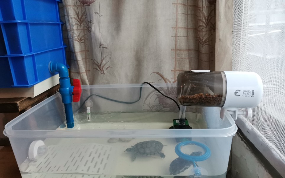 乌龟自动喂食器自制图片