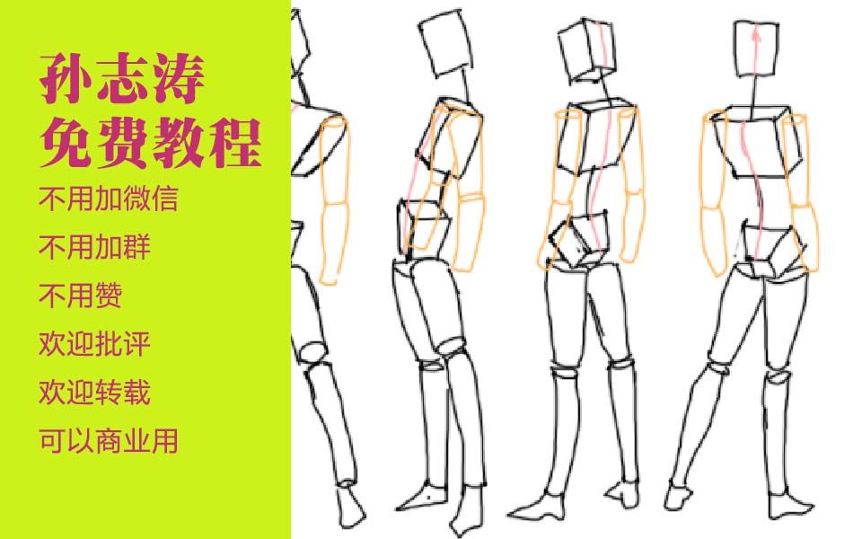 人体几何结构练习