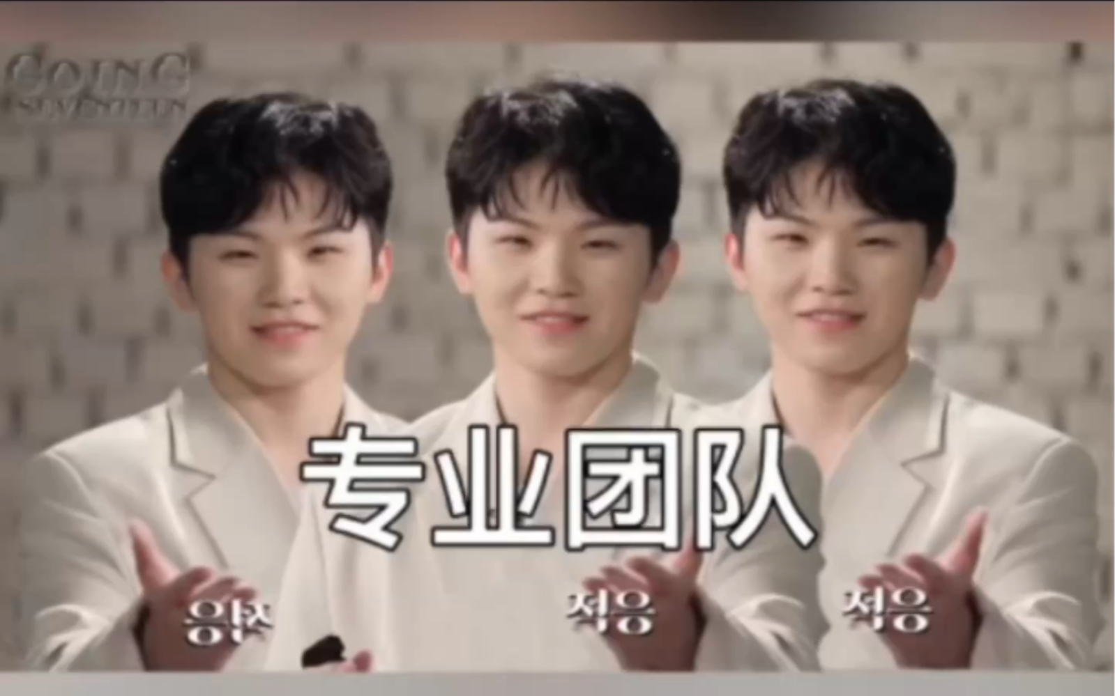 【seventeen】次人表情包图鉴