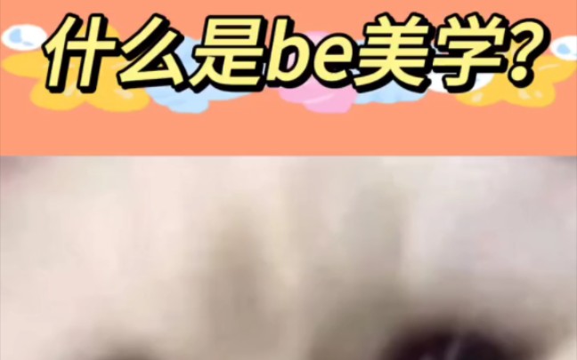 什么是be美学呢?哔哩哔哩bilibili