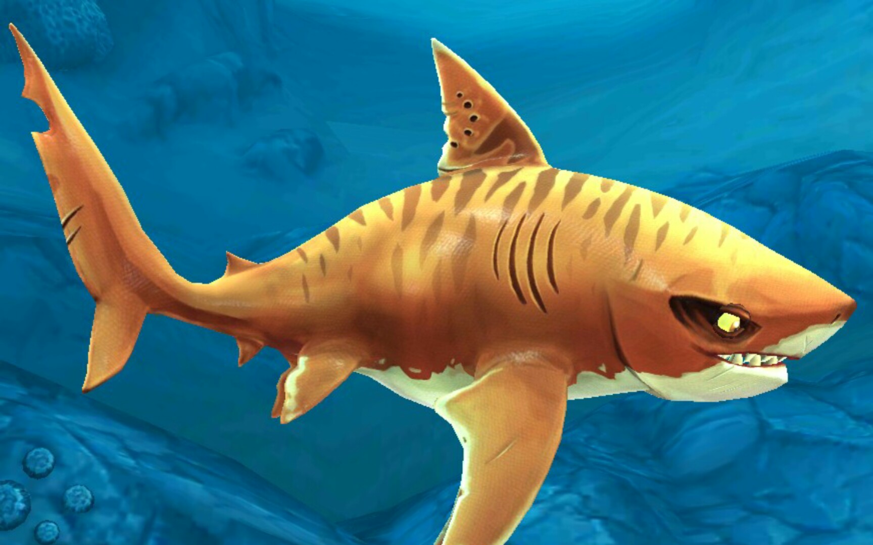 饥饿鲨世界鲨鱼介绍(17)虎鲨