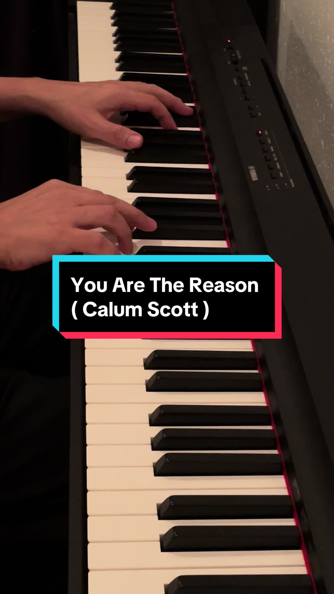 You Are The Reason ( Calum Scott ) piano cover Paiboon Maneekhao @Lek哔哩哔哩bilibili