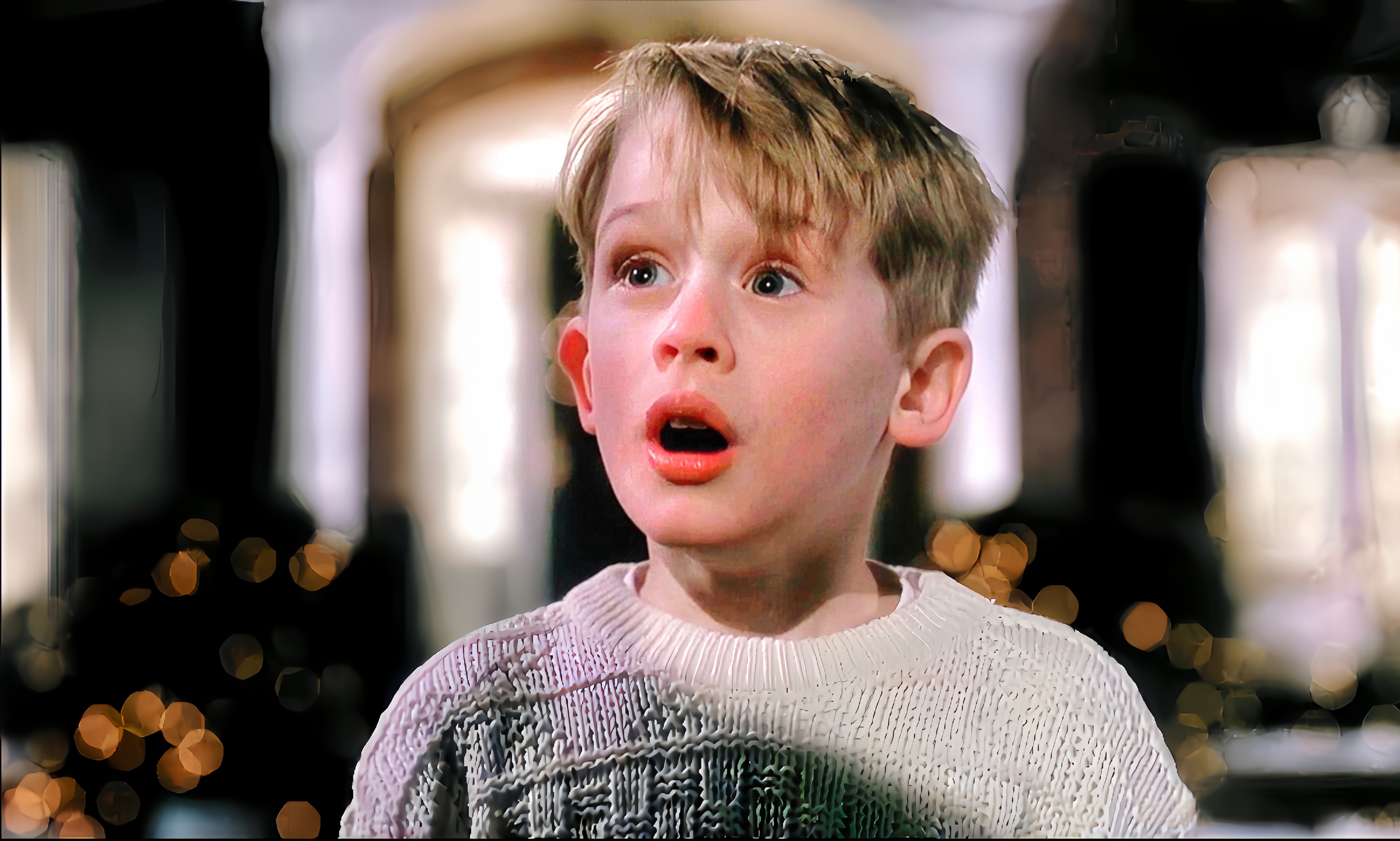 [图]《小鬼当家·Home Alone》 1990 🎄