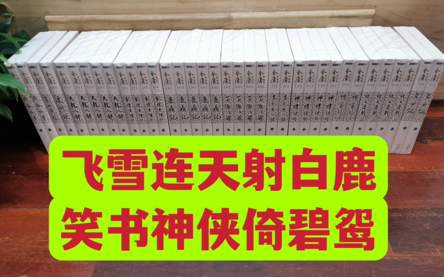 花了六百多终于把这套书拿下了…哔哩哔哩bilibili