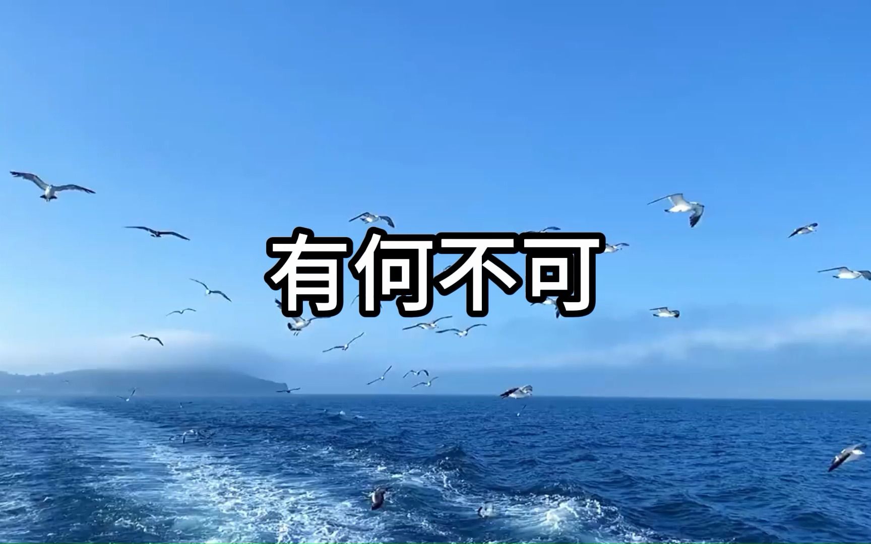 有何不可 无损音质 超好听电音无损音质合集,每一首都是精华!哔哩哔哩bilibili