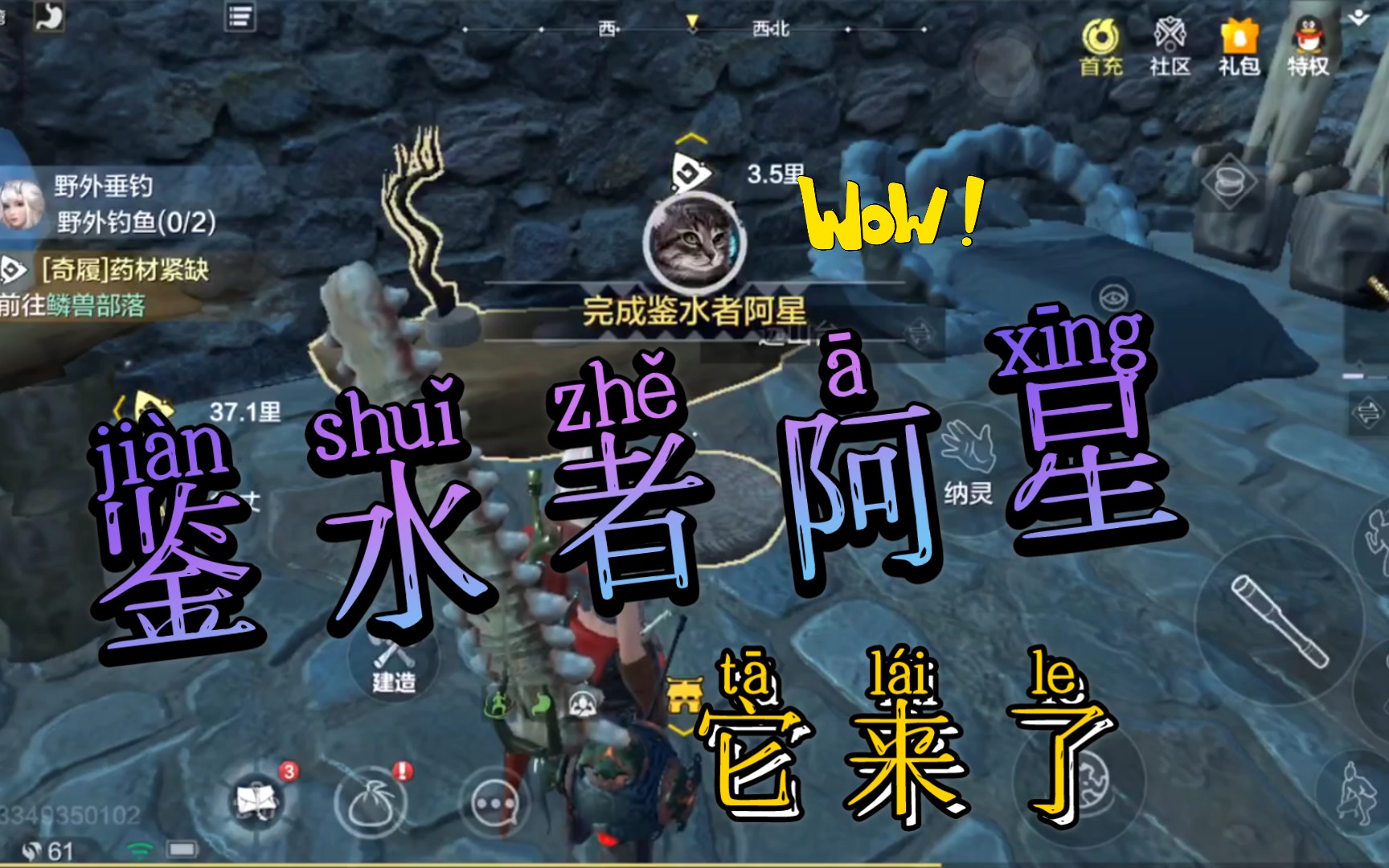 《妄想山海》心心念念的阿星终于到手了_哔哩哔哩 (゜-゜)つロ 干杯