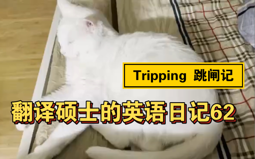 [图]【翻译硕士的英语日记】Day 62 Tripping | 跳闸记 | 雅思口语 | 撸猫