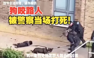 Download Video: 太解气了，土豪溜狗不牵绳还咬人，被警察当场打死！