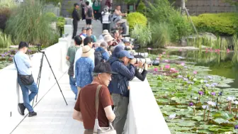 Скачать видео: 📸索尼生态摄影之旅，记录自然之美🌿