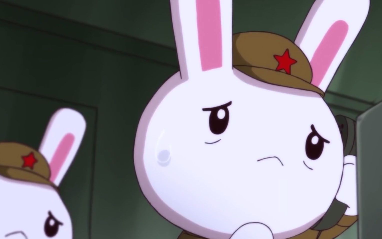 感谢那些为种花家付出的兔子,81192,请您记得回家