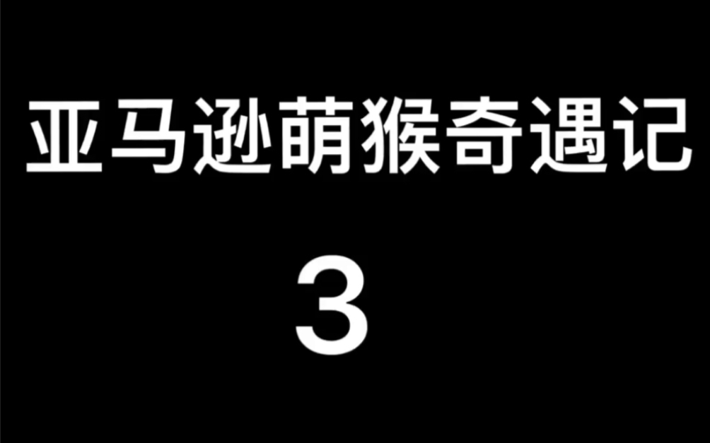 [图]2015年法国电影～亚马逊萌猴奇遇记3