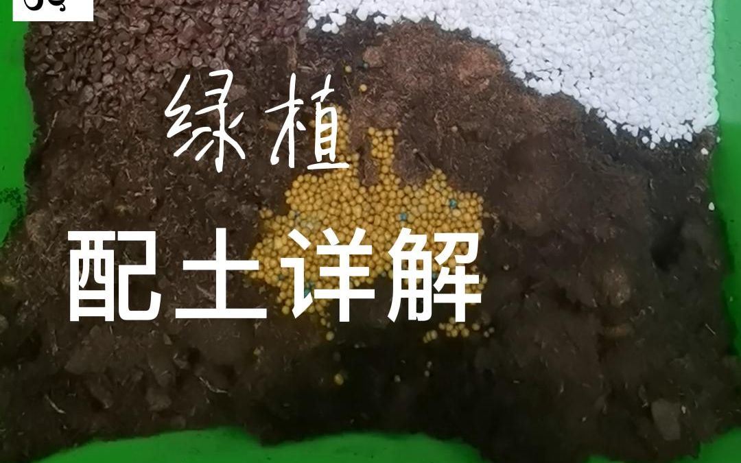 热植配土详解——天南星科植物配土篇哔哩哔哩bilibili