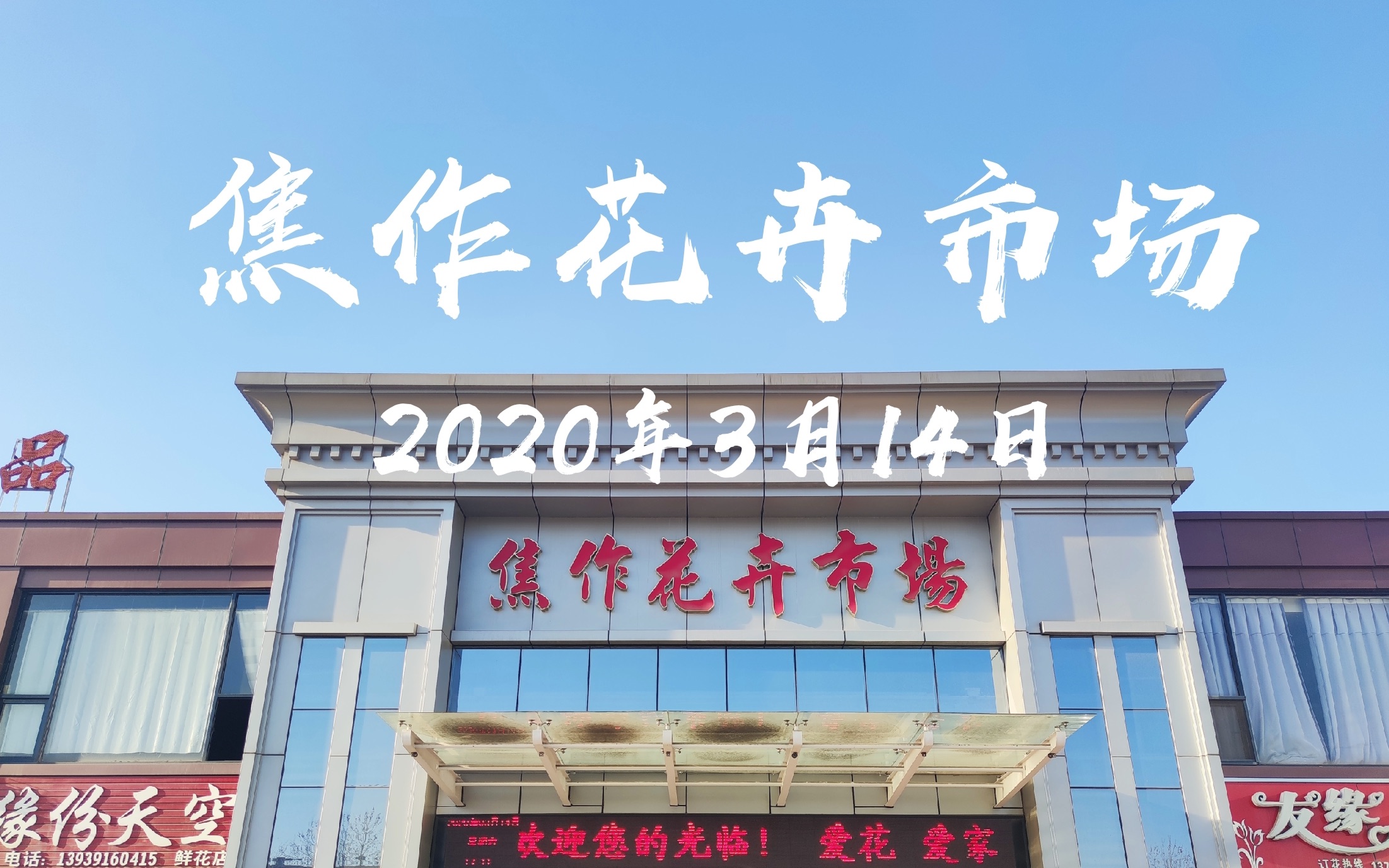 焦作街拍 花卉市场 3月14日白色情人节 市民逛花市