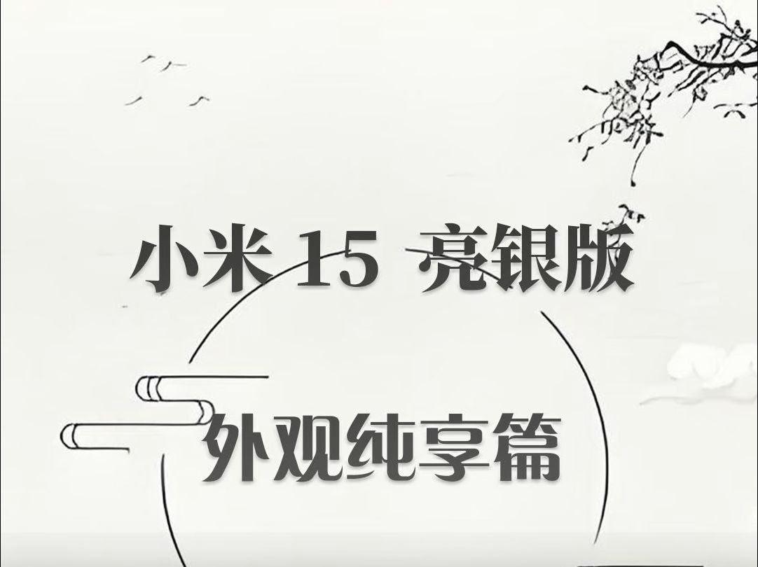 小米15亮银版真机上手哔哩哔哩bilibili