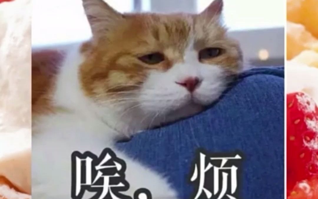 外卖外卖神券节怎么领饿了么无门槛红包快来冲