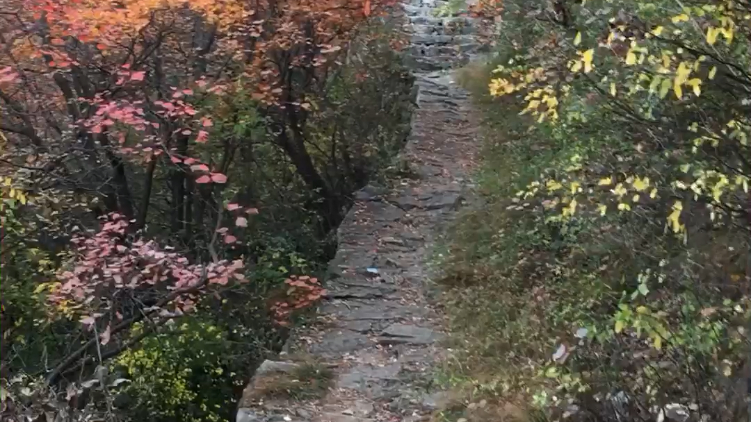 [图]看万山红遍，层林尽染