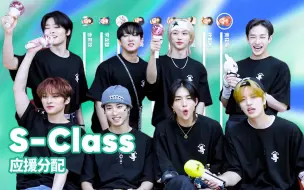 Download Video: 【应援分配】Stray Kids - S-Class