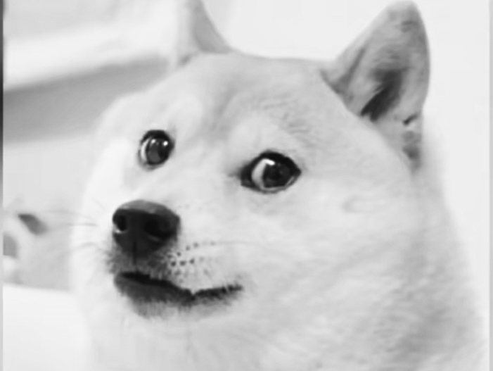 晚安Doge,和cheems愉快玩耍吧哔哩哔哩bilibili