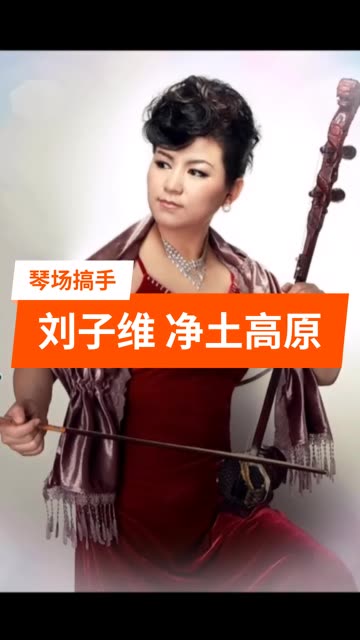 刘子维 著名二胡表演艺术家,师从于陈宝田,陈朝儒教授.