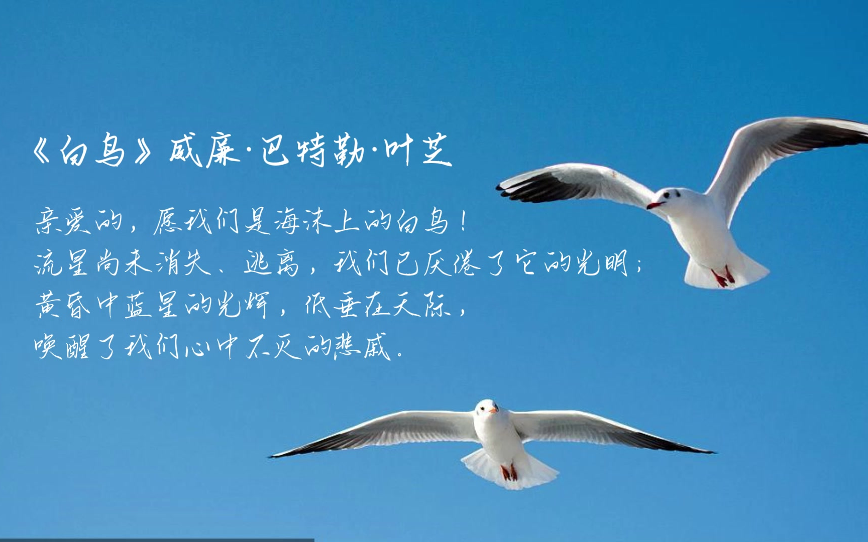 【liachannel】读书:威廉·巴特勒·叶芝《白鸟》