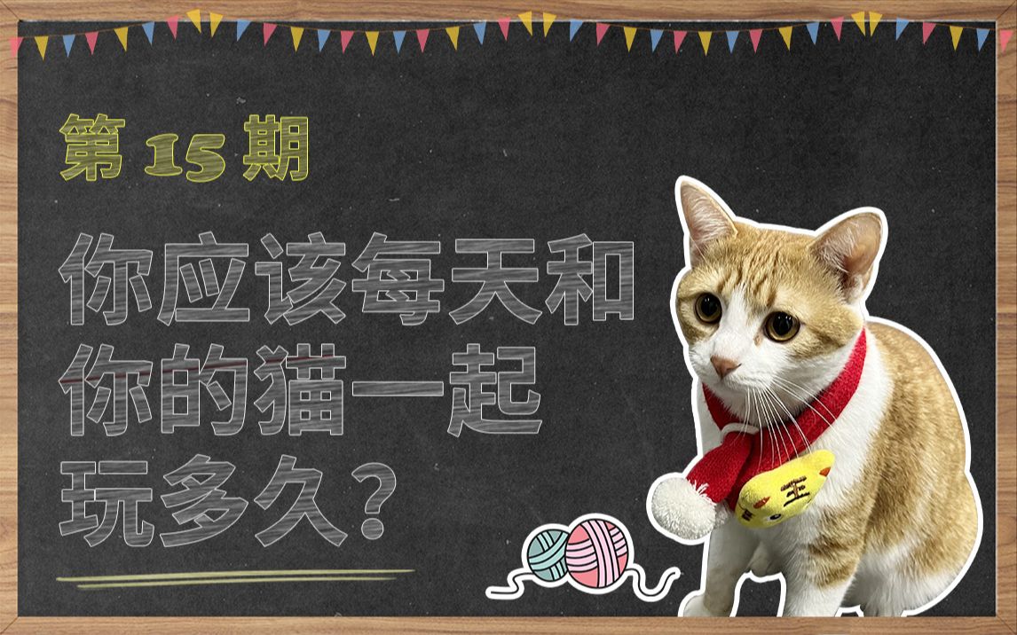 【科学养猫】第十五期!你应该每天和猫咪一起玩多久?哔哩哔哩bilibili