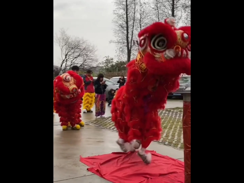 东莞本地舞狮队19112878129联系电话开业舞狮表演迎亲舞狮开场舞狮表演生日寿宴舞狮表演乔迁之喜舞狮/舞狮暖场/舞狮巡游/开业/大中小型商业活动舞狮等...