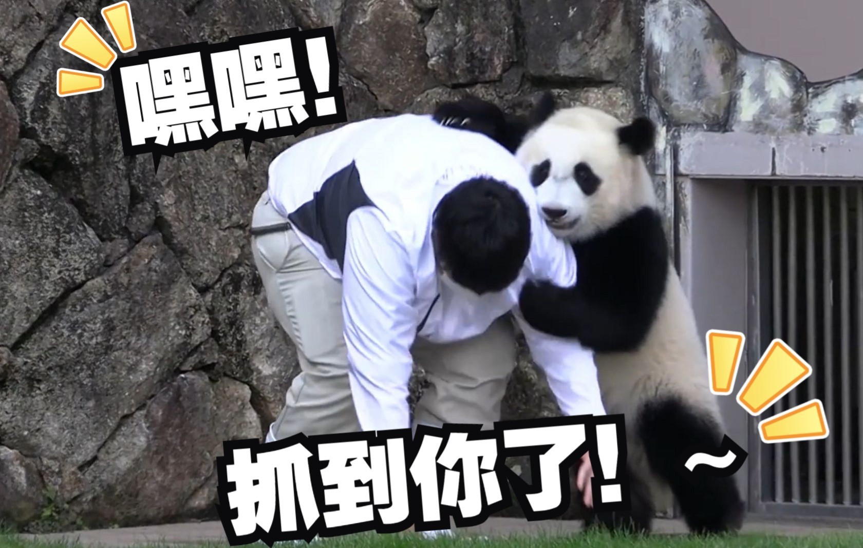 奶妈无奈jpg她扒拉我旅日熊猫枫浜