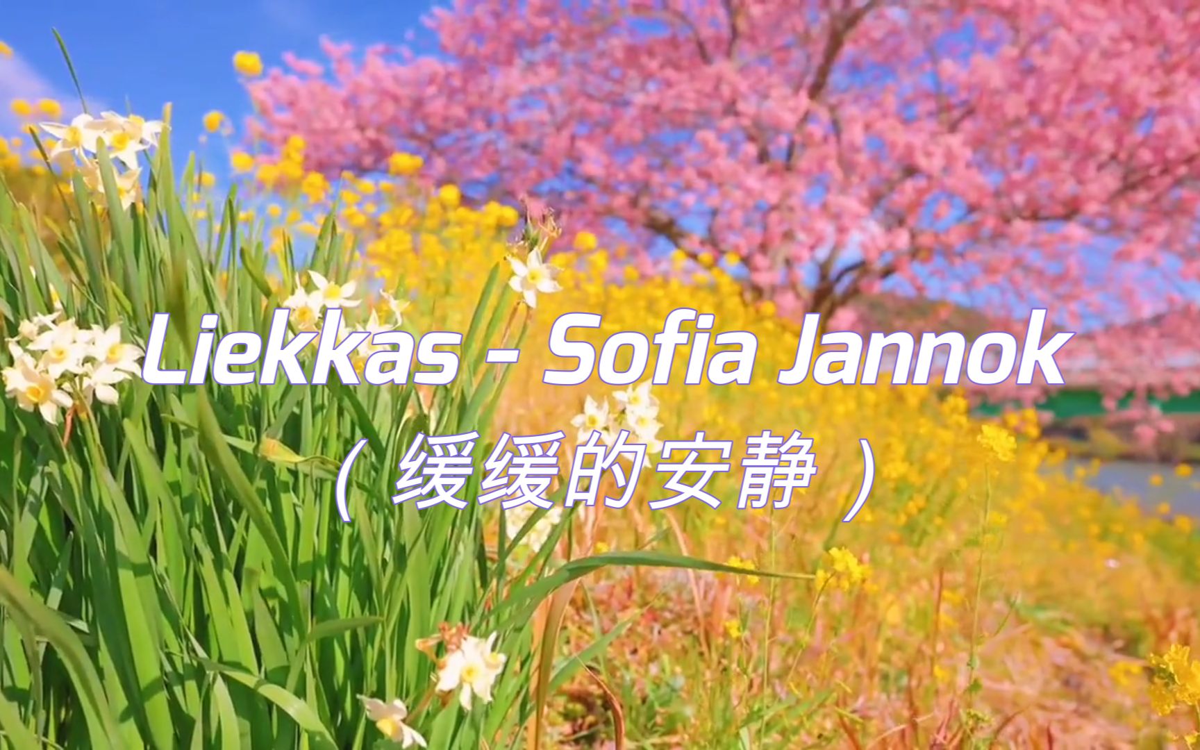 [图]〈治愈系小语种，放松轻快的旋律〉 Sofia Jannok - Liekkas