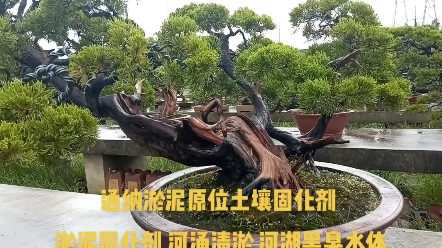 广东城市河湖黑臭水体治理疏浚工程,韶关市河道黑臭水体治理淤污泥原位固化处理,韶关市河道治理、韶关曲江区河涌清淤、广州箱涵清淤、东莞泥浆清运...