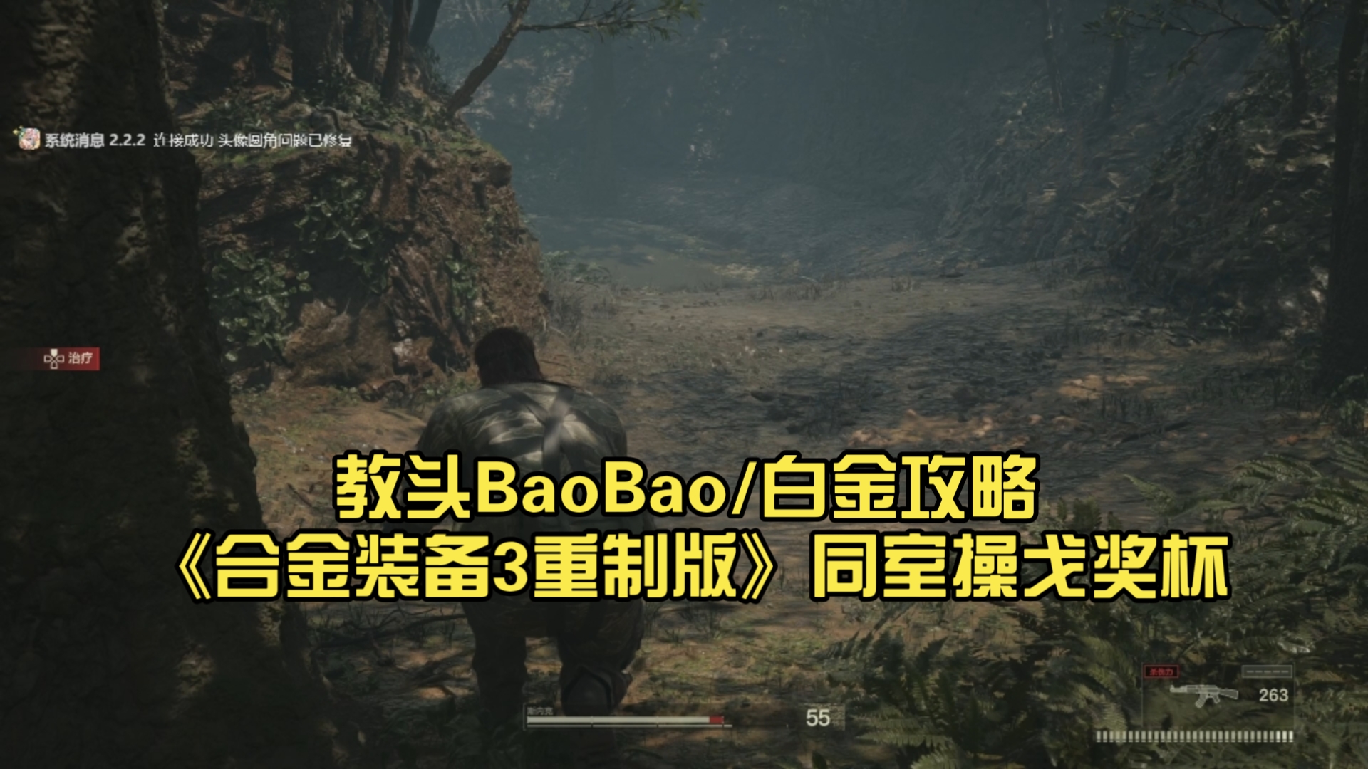 教头BaoBao/白金攻略《合金装备3重制版》同室操戈奖杯