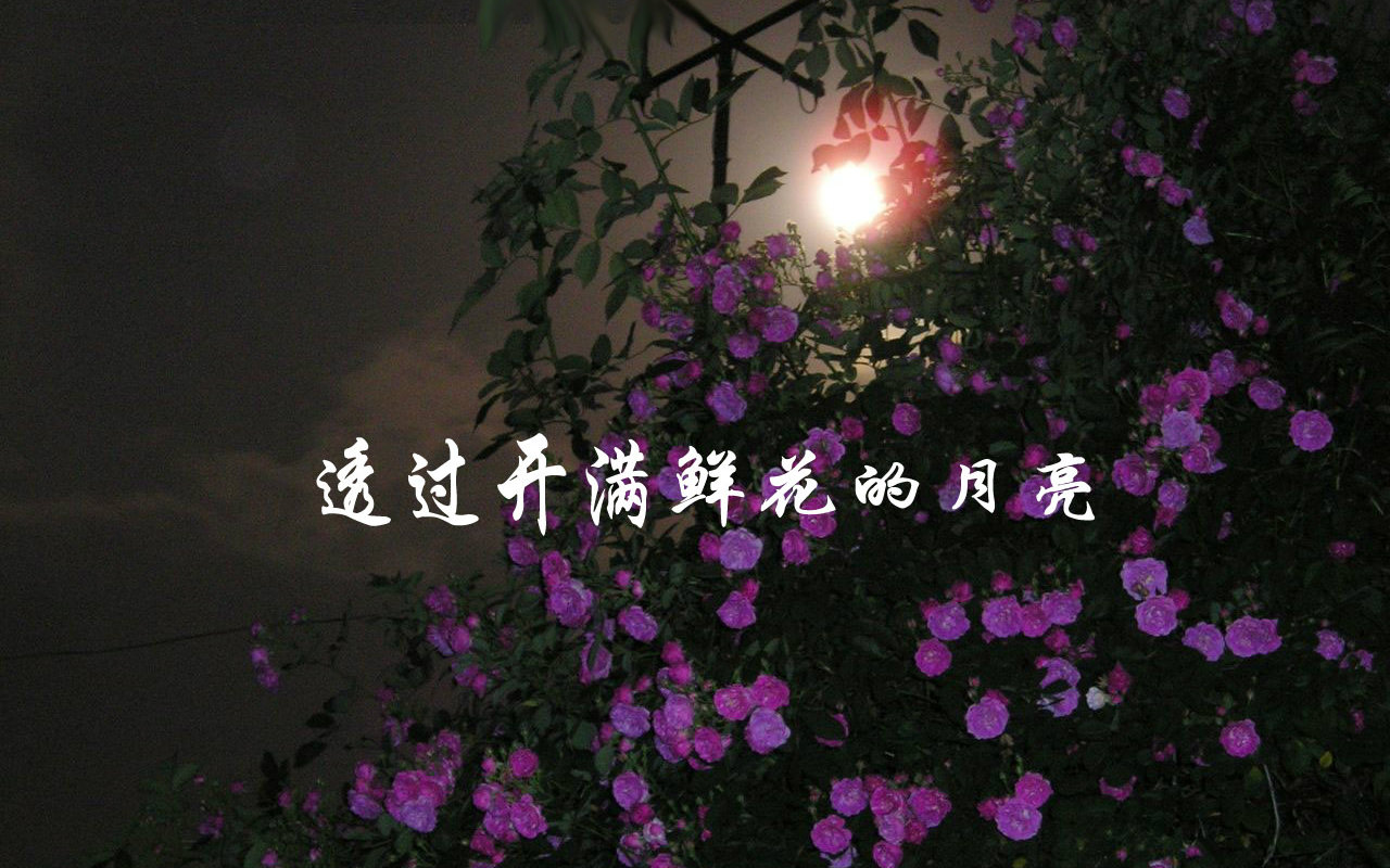 【原唱】林依轮 - 透过开满鲜花的月亮
