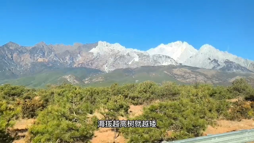 乘坐丽江101路旅游专线,欣赏玉龙雪山美景哔哩哔哩bilibili