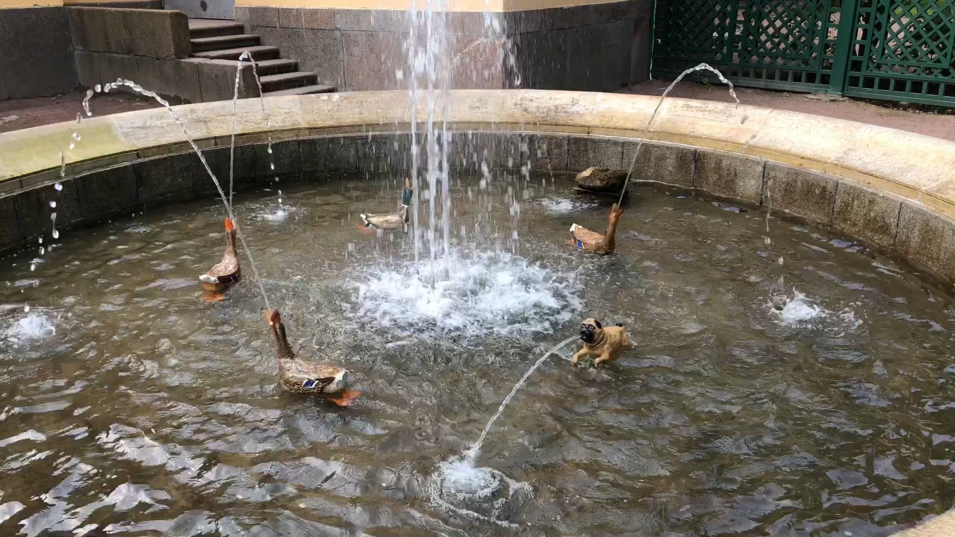 俄罗斯圣彼得堡夏宫花园旋转喷泉