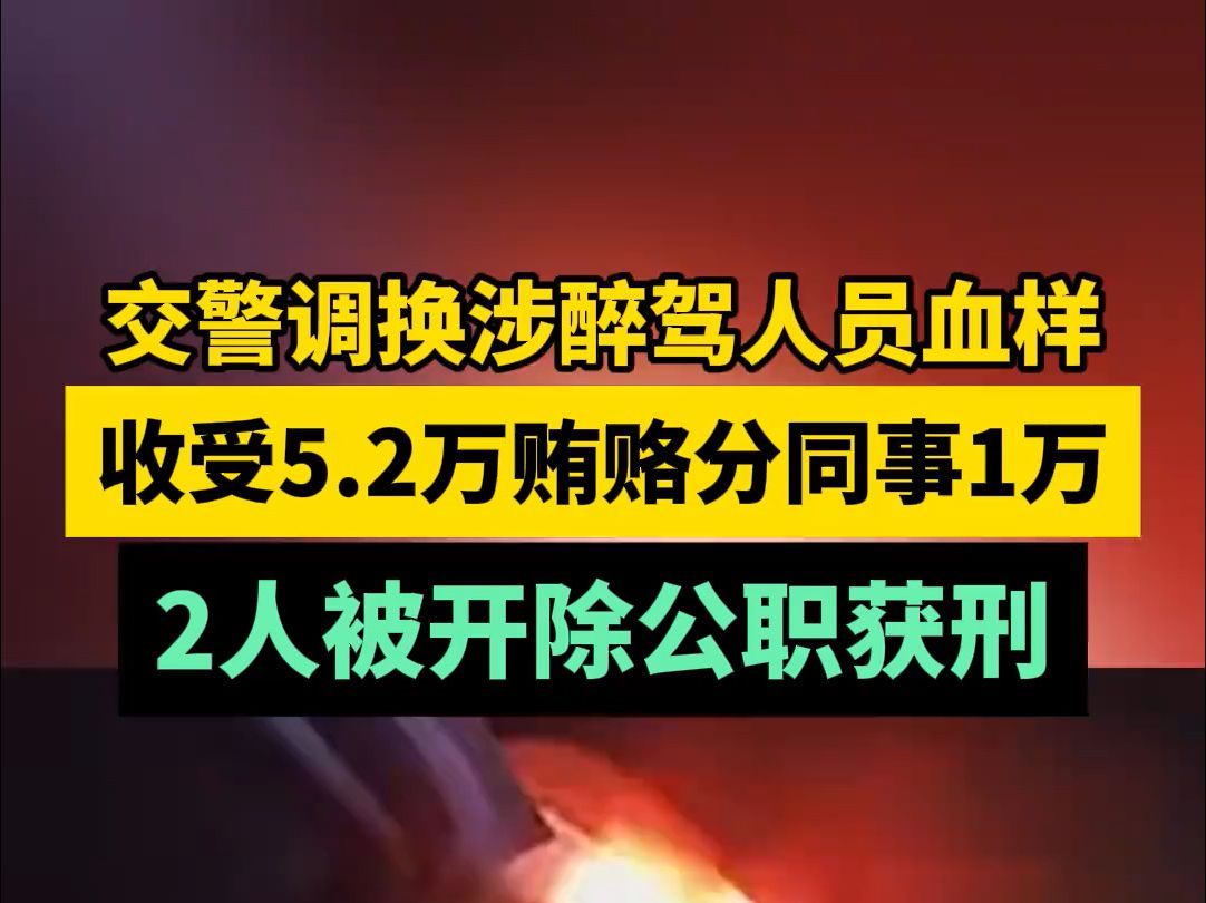 交警调换涉醉驾人员血样,收受5.2万贿赂分同事1万,2人被开除公职获刑哔哩哔哩bilibili