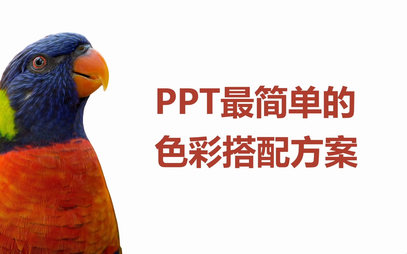 PPT实操系列PPT最简单的配色方案哔哩哔哩bilibili