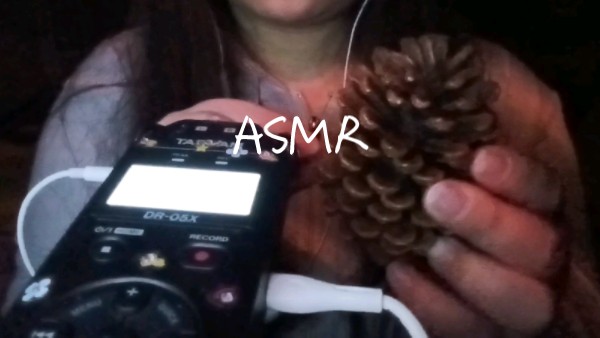 [图]ASMR/松果和管子的声音～(￣▽￣～)~（后面的灯没电了 Ծ‸Ծ ）希望大家喜欢