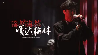 Download Video: 录音笔直出高音质，诚邀大家戴上耳机沉浸式体验王哥的现场魅力 |【4K字幕】《海然海然 x 嘎达梅林》| 王晰【肆益】个人巡回音乐会-20240406 上海