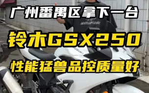 Download Video: 24款铃木GSX250R你觉得怎么样？