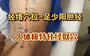 Download Video: 经络穴位-足少阳胆经-人体模特画经取穴-陈栋