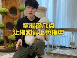 Download Video: 手把手教你，让狗狗爱上剪指甲！