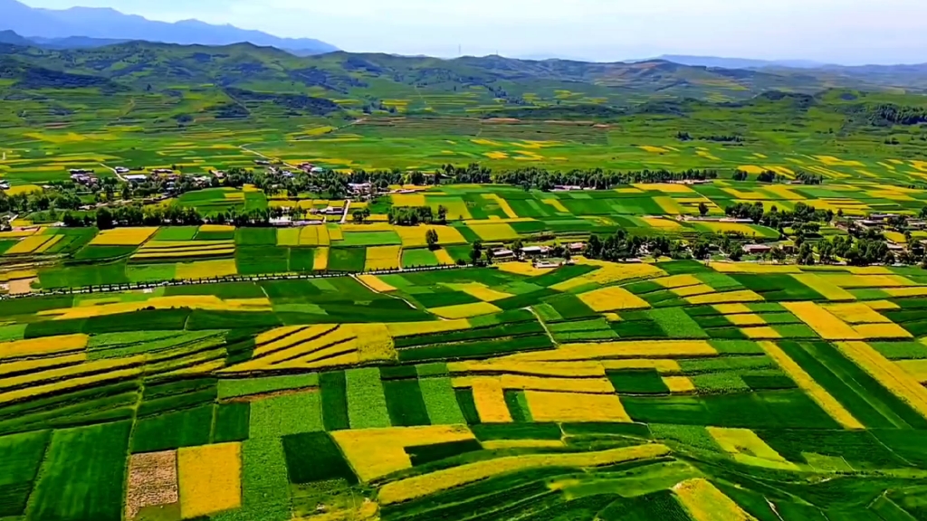 [图]穿过田野，穿过村庄，穿过开满鲜花的山岗，一路芬芳。