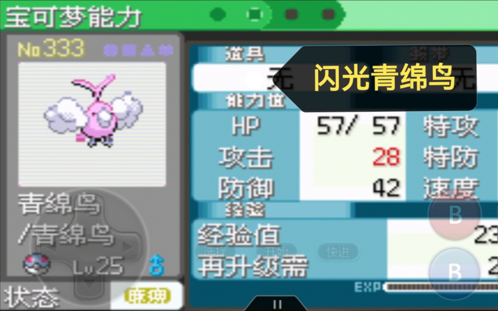 no.333 闪光青绵鸟