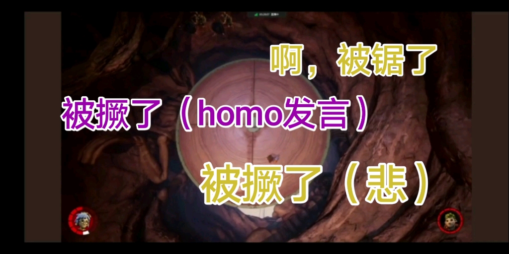 [图]【双人成行】《无时不在的homo，最后双双寄了》