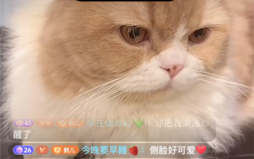 2.14晚 鹤儿直播录屏【果冻代播】